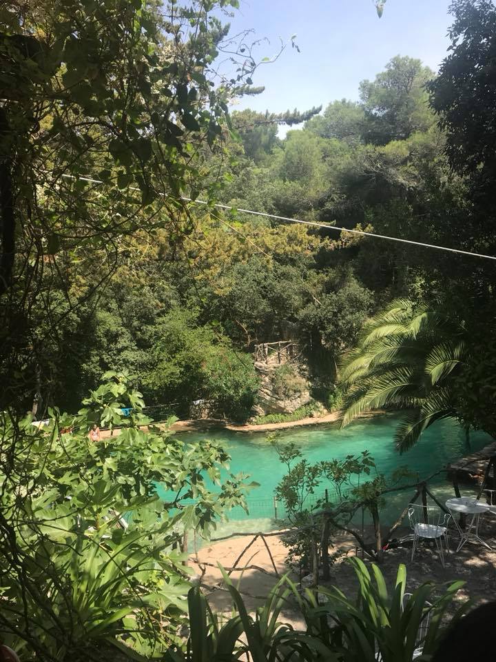 40567828_1912914615395833_9101686538093199360_n